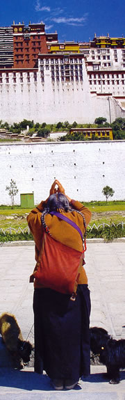 Pilgrim, dogs milling at his heels,prepares to prostrate before Potala